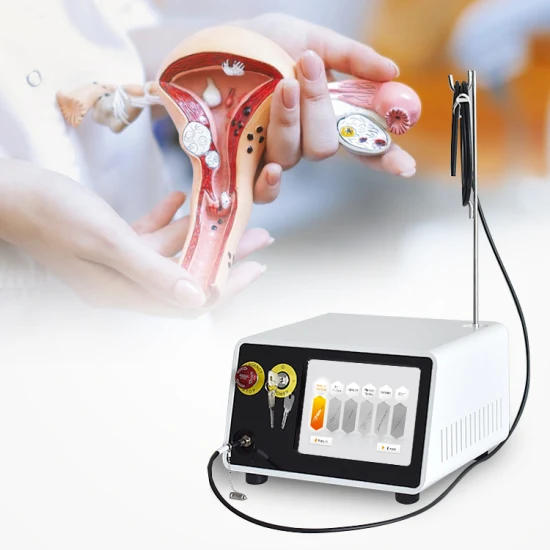 980 Laser Gynecological 980nm Diode Laser Physiotherapy Machine 6 in 1 1470nm